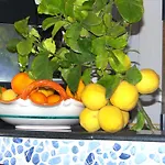 Degli Agrumi Конка-дей-Марини