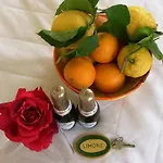 Отель Degli Agrumi 3*