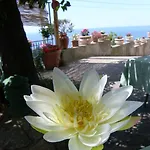 Degli Agrumi