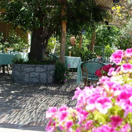 Degli Agrumi Conca dei Marini