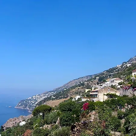 Degli Agrumi