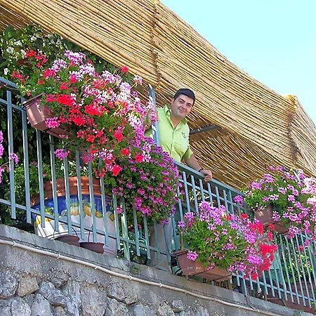Hotel Degli Agrumi 3*