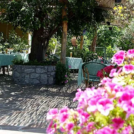 Degli Agrumi