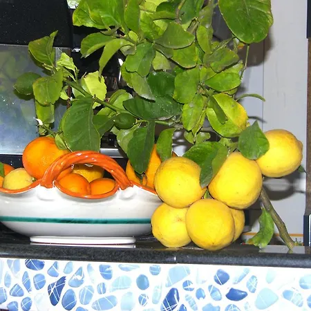Degli Agrumi Conca dei Marini