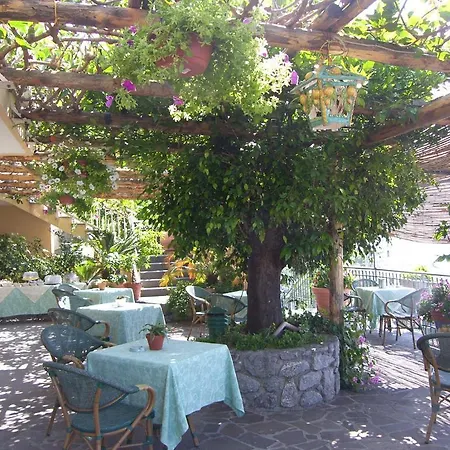 Hotel Degli Agrumi