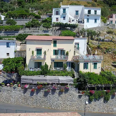 Degli Agrumi 3*